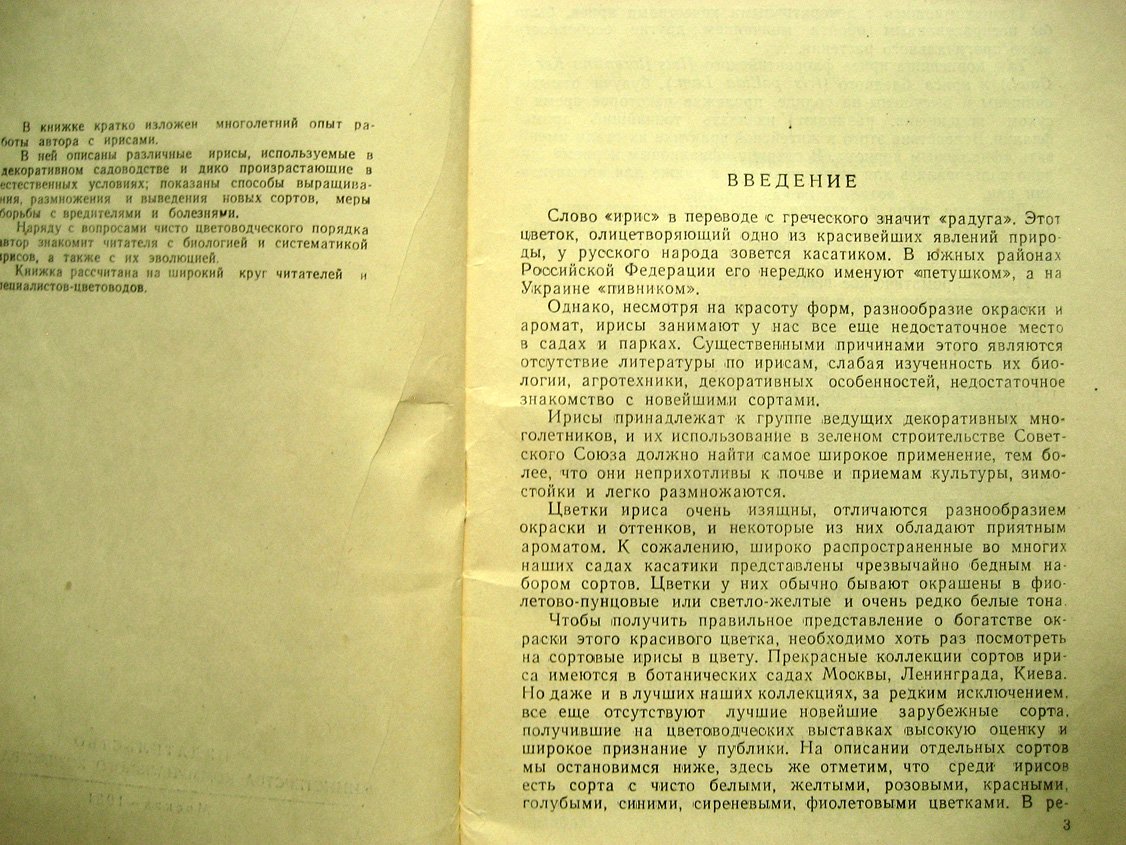 Родионенко Г. Ирисы.