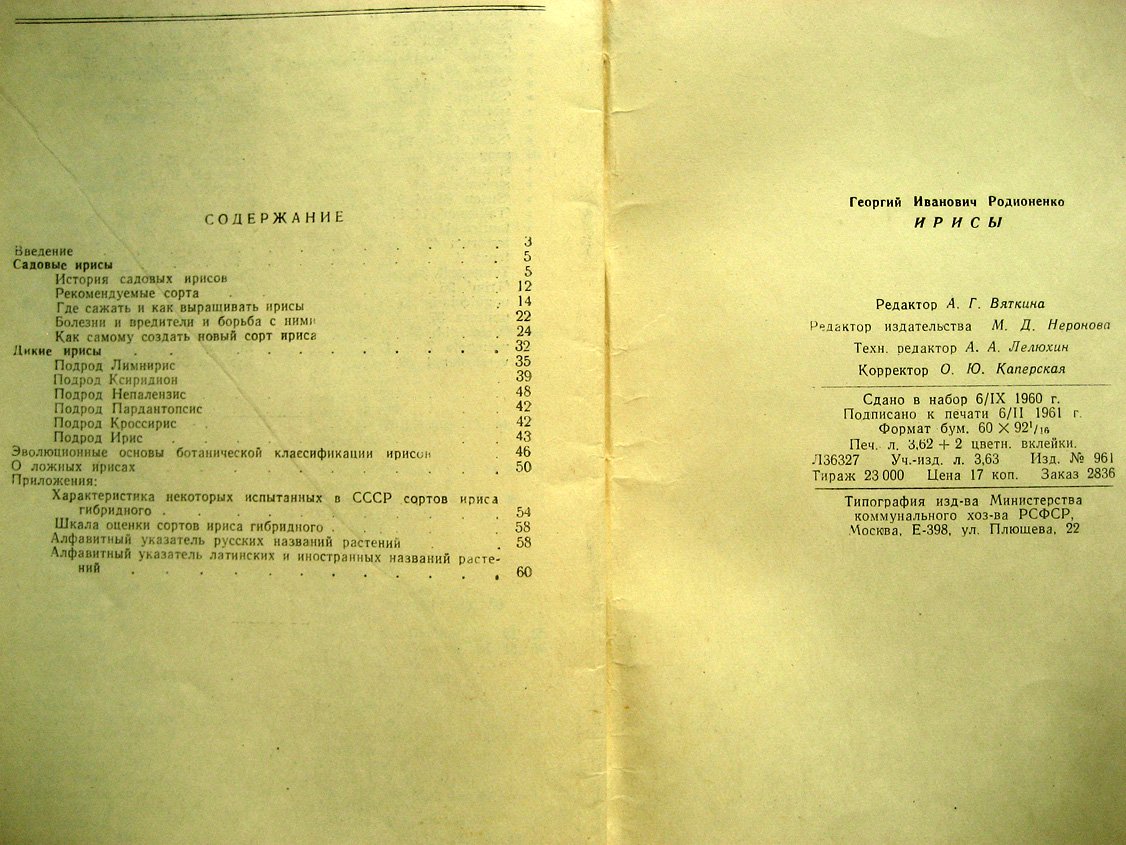 Родионенко Г. Ирисы.
