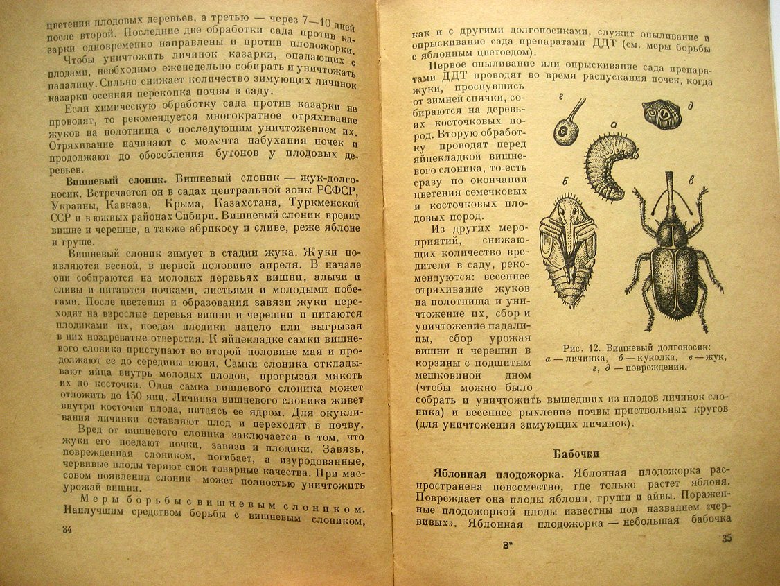 Иванова Н. Защита плодового сада от вредных насекомых.