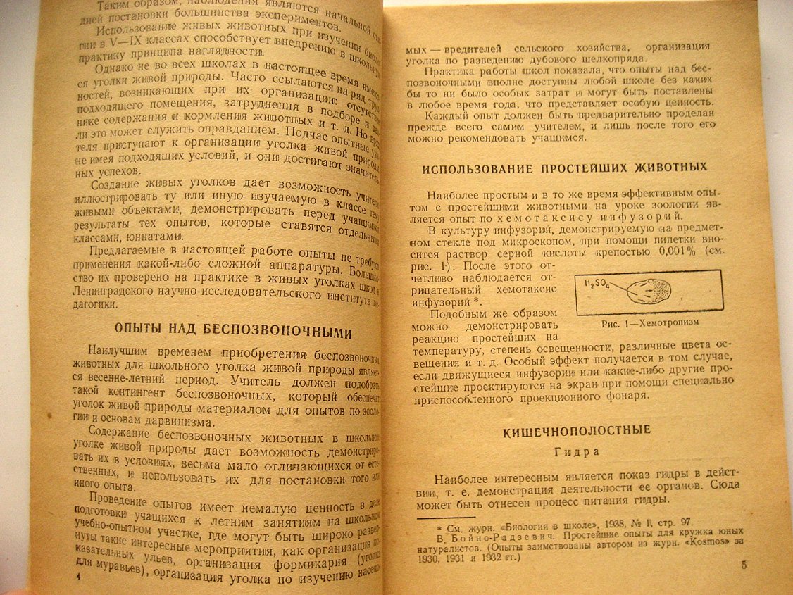 Соколов Н. Опыты над животными в уголке живой природы.