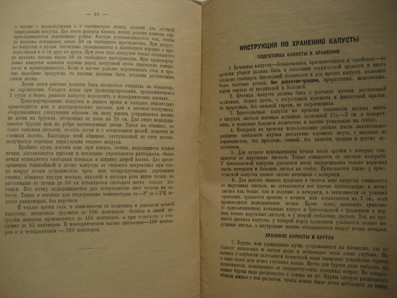 Хранение капусты. Инструкция
