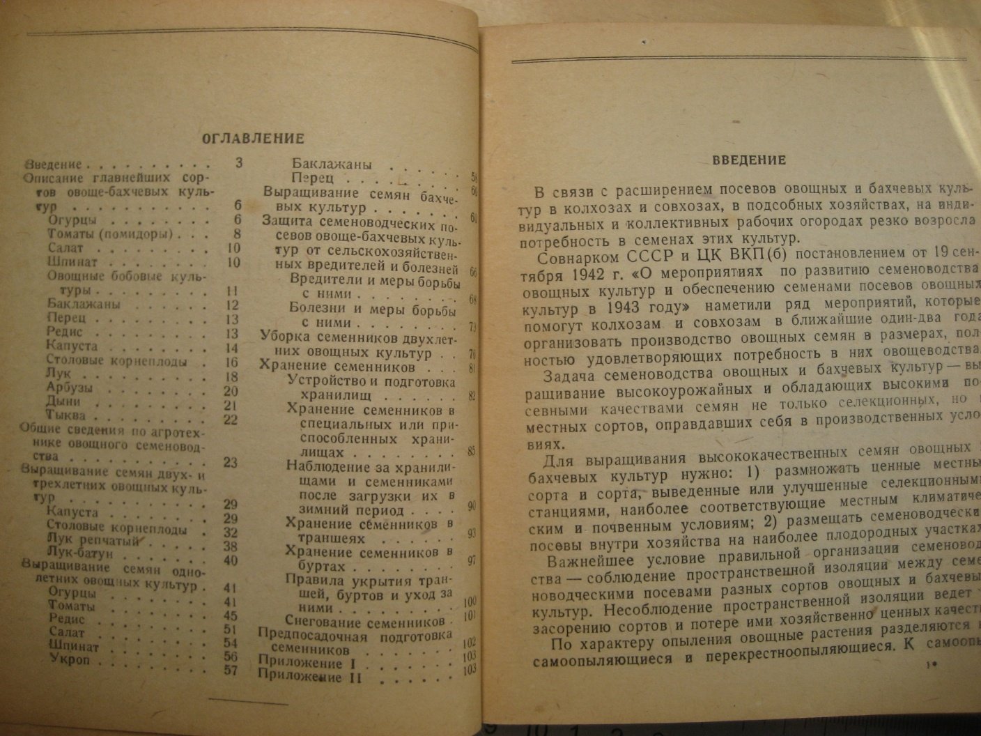 Гуцевич А., Заостровская Е., Трапезников А. Как выращивать семена овощных и бахчевых культур.