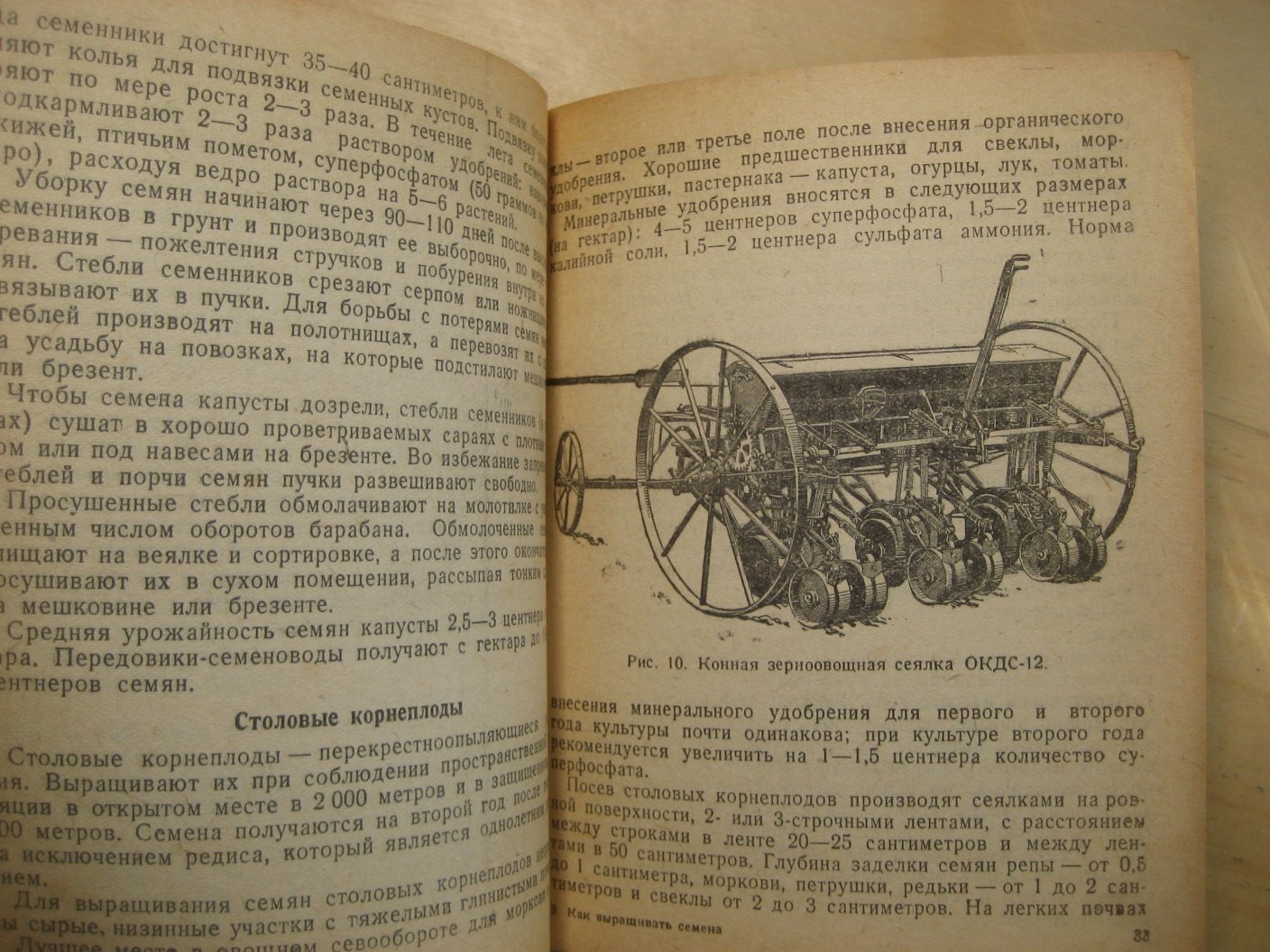 Гуцевич А., Заостровская Е., Трапезников А. Как выращивать семена овощных и бахчевых культур.