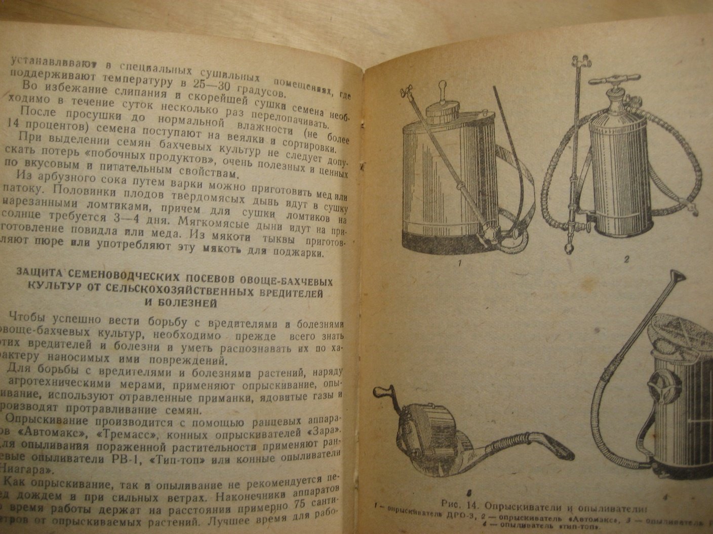 Гуцевич А., Заостровская Е., Трапезников А. Как выращивать семена овощных и бахчевых культур.