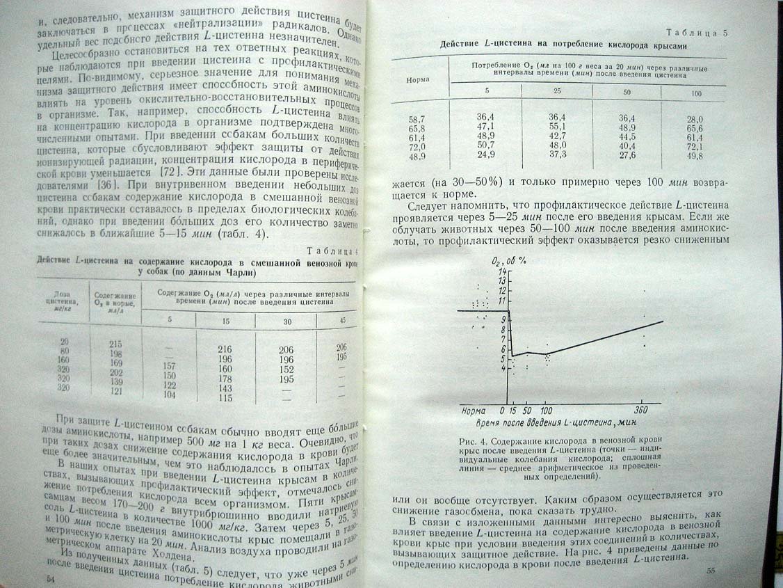 Романцев Е. Радиация и химическая защита.
