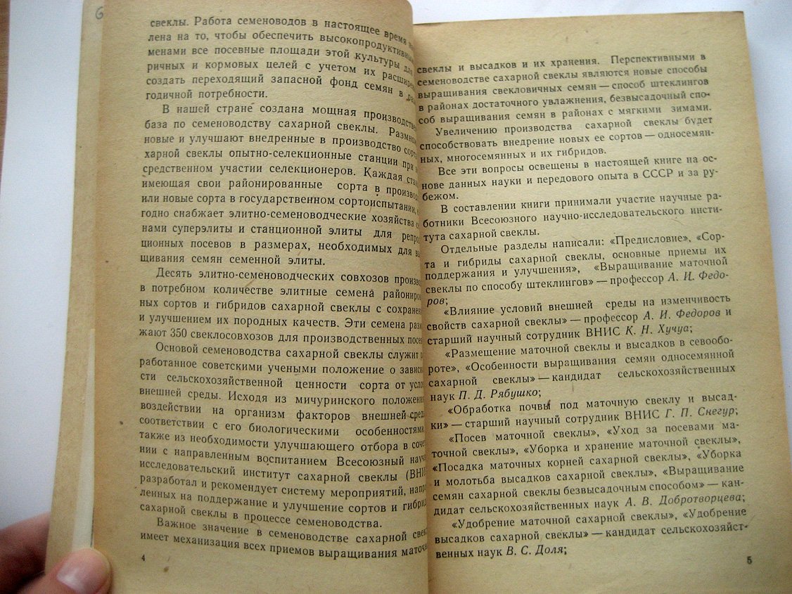 Агротехника выращивания сахарной свеклы на семена.