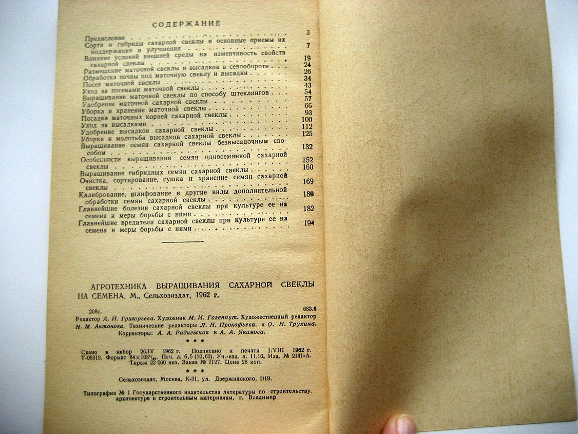 Агротехника выращивания сахарной свеклы на семена.
