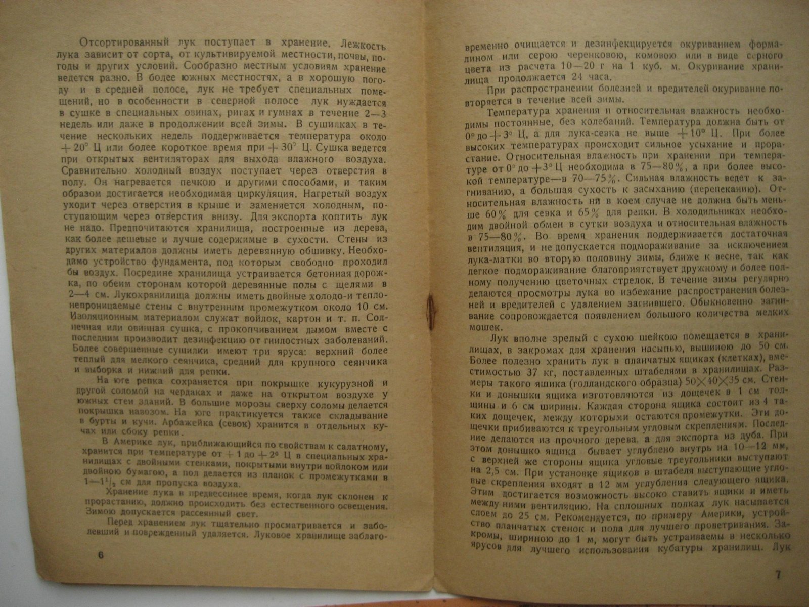 Хранение лука. Инструкция