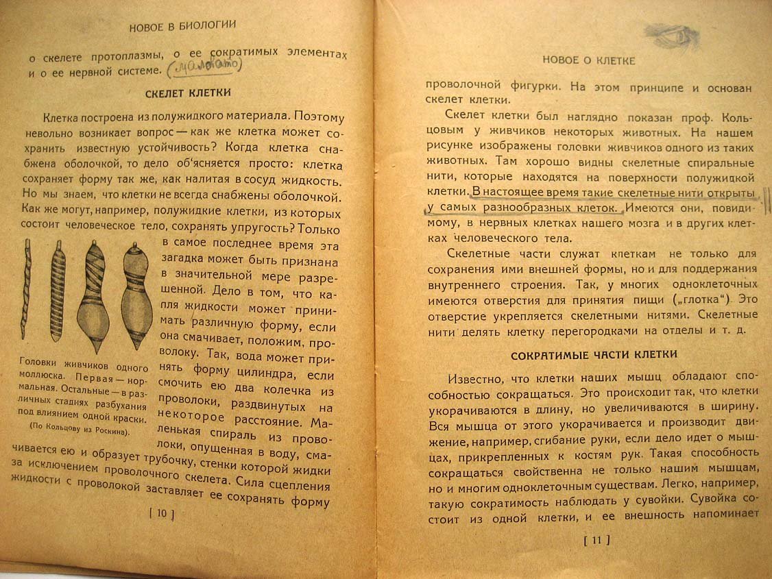 Рыжков В. Новое в биологии. Популярные очерки