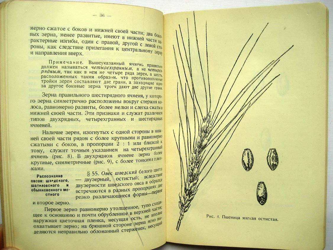 Инструкция по анализу зерна.
