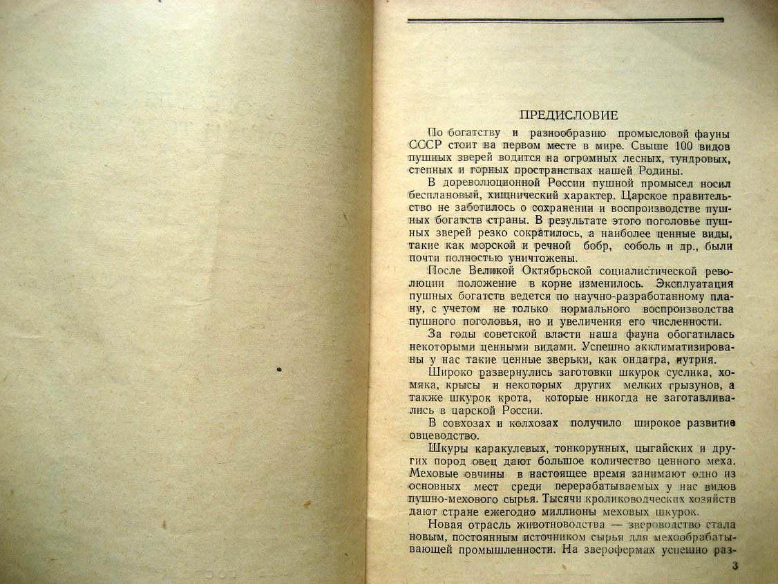 Шурик Р. Торговля меховыми товарами.