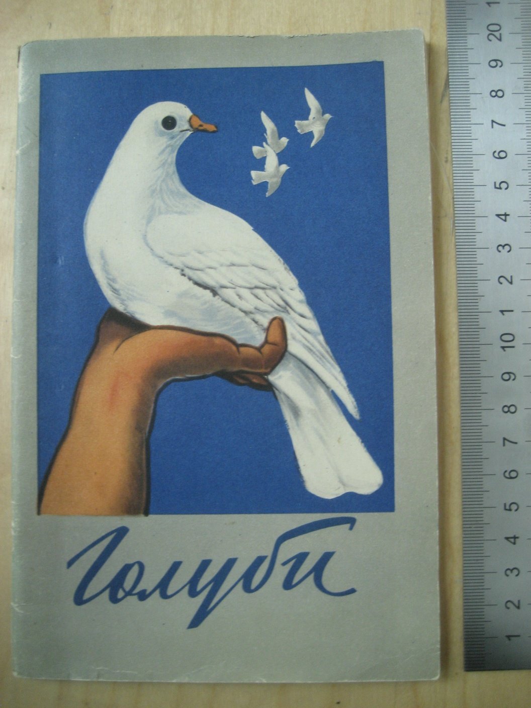 Рычин Ю. Голуби.