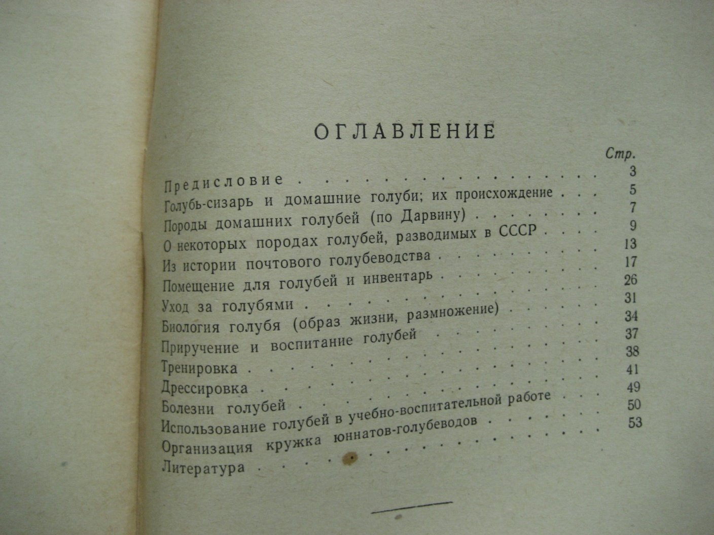 Рычин Ю. Голуби.