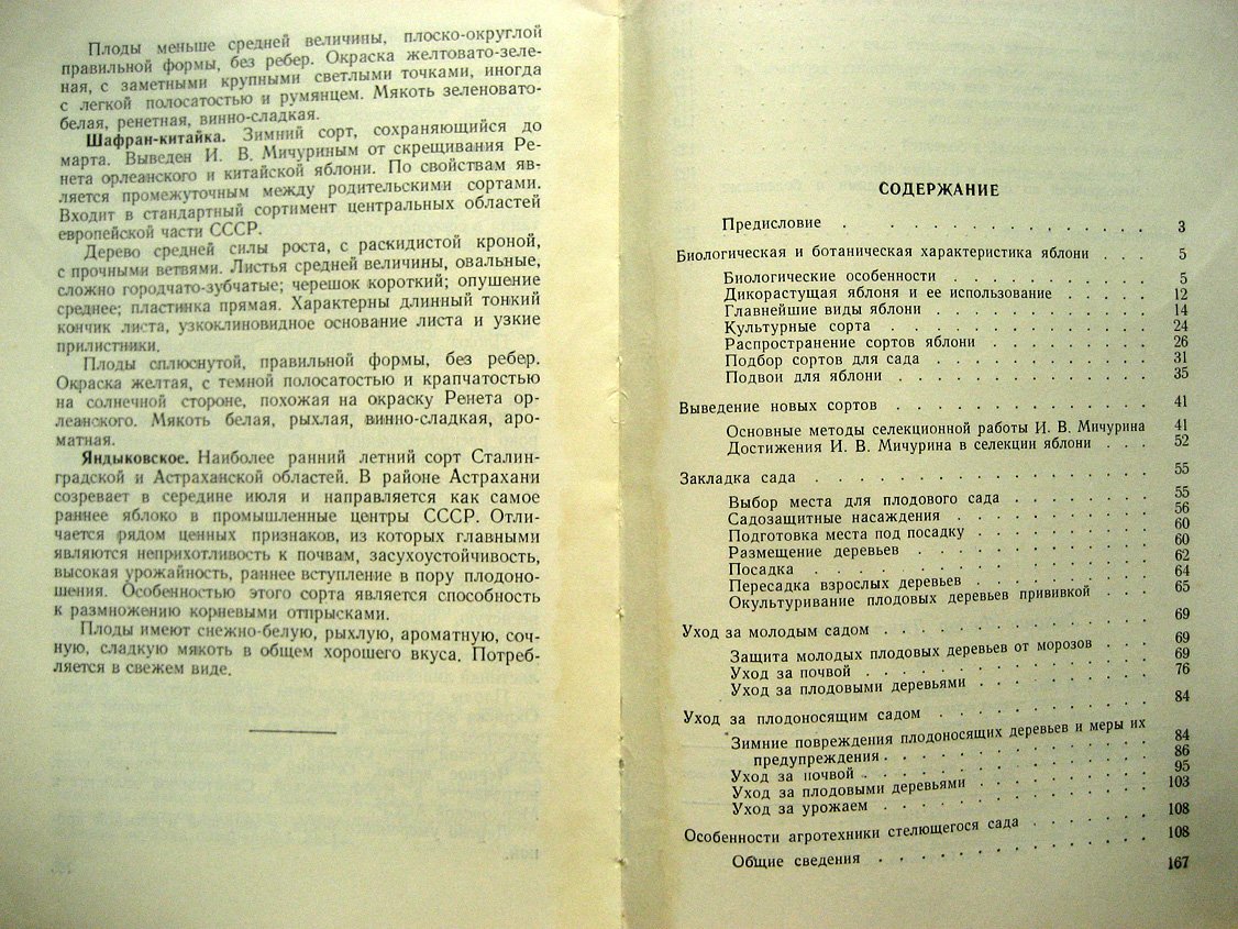 Лихонос Ф. Яблоня.