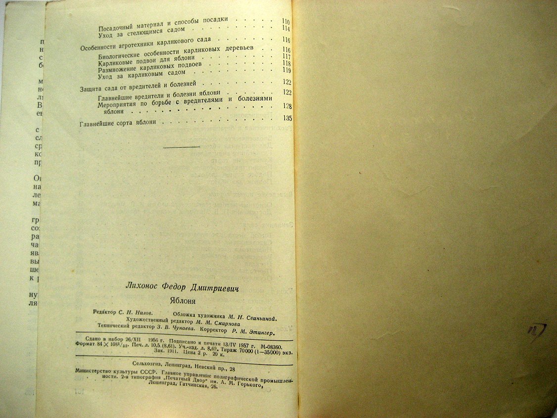 Лихонос Ф. Яблоня.
