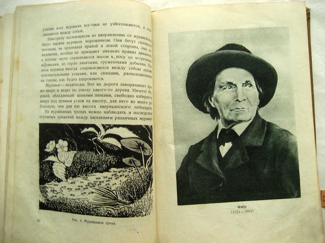 Фролов Ю. Мои встречи с животными.