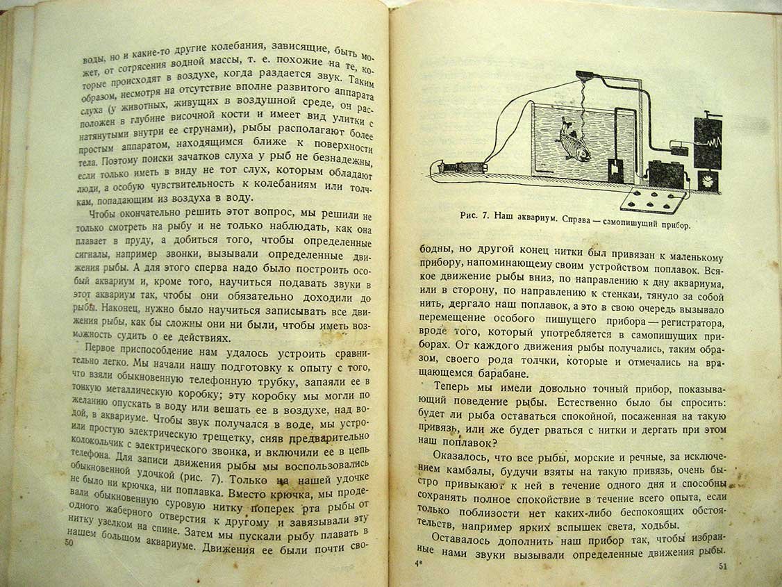 Фролов Ю. Мои встречи с животными.