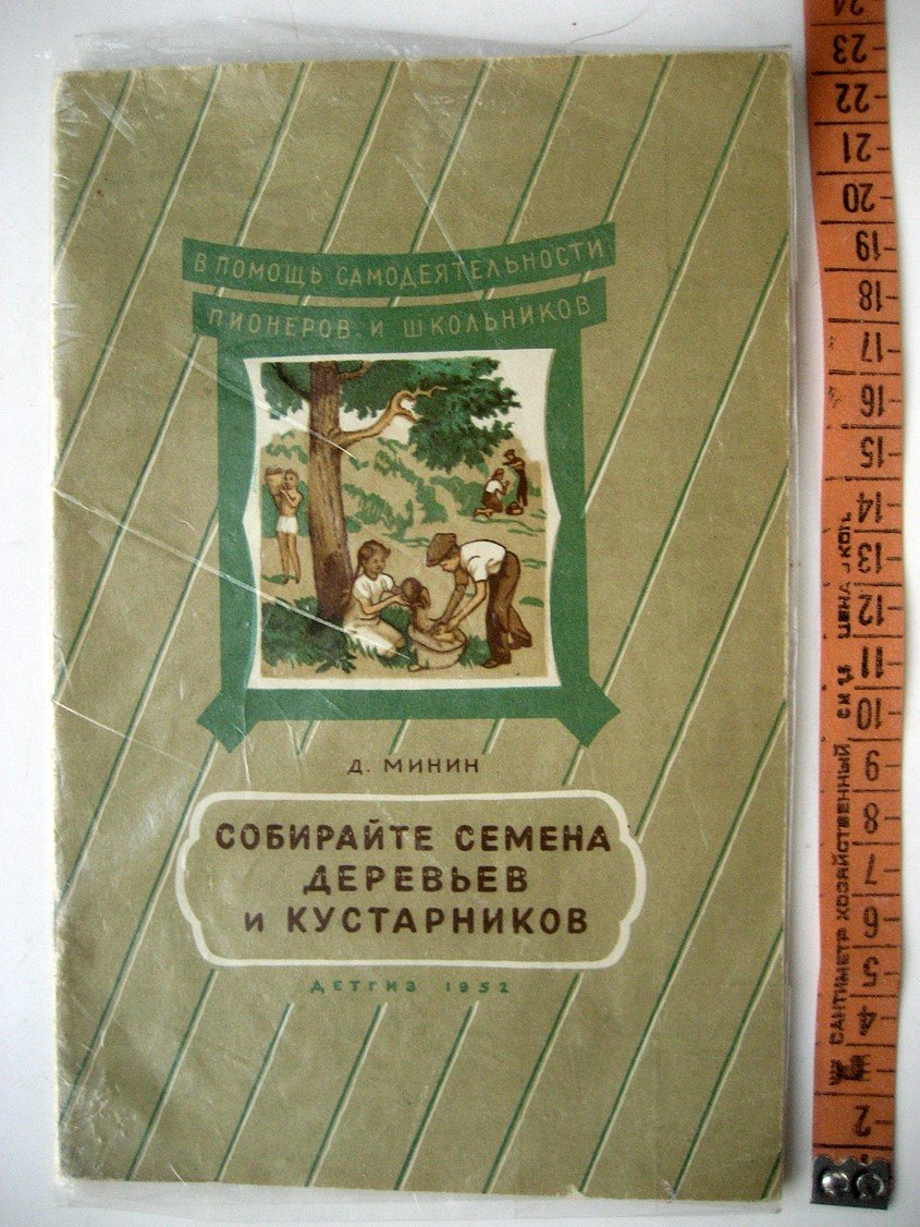 Минин Д. Собирайте семена деревьев и кустарников.