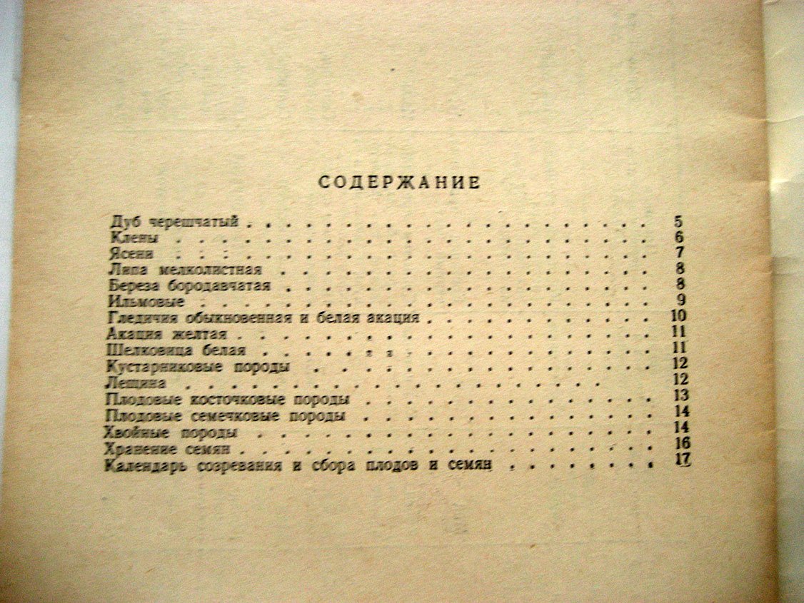 Минин Д. Собирайте семена деревьев и кустарников.