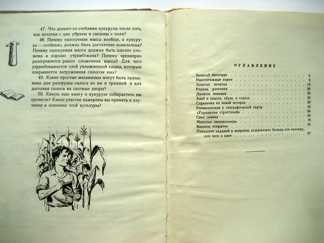 Гришин Д. История початка и ее продолжение (кукуруза).