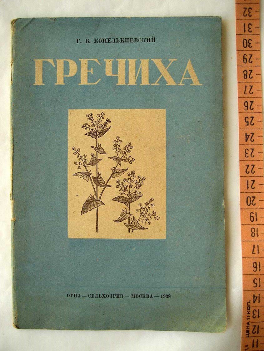 Копелькиевский Г. Гречиха.