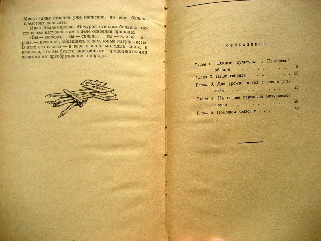 Гусельникова Е. Сердобские юные мичуринцы.