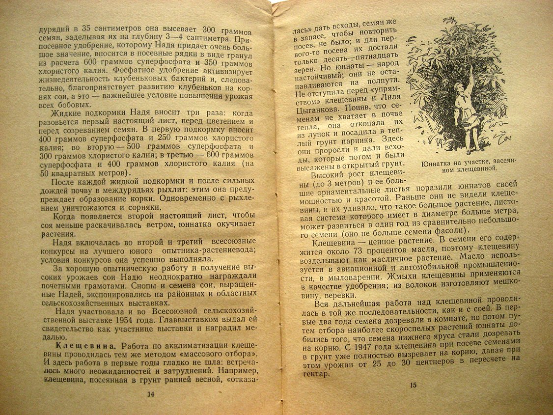 Гусельникова Е. Сердобские юные мичуринцы.