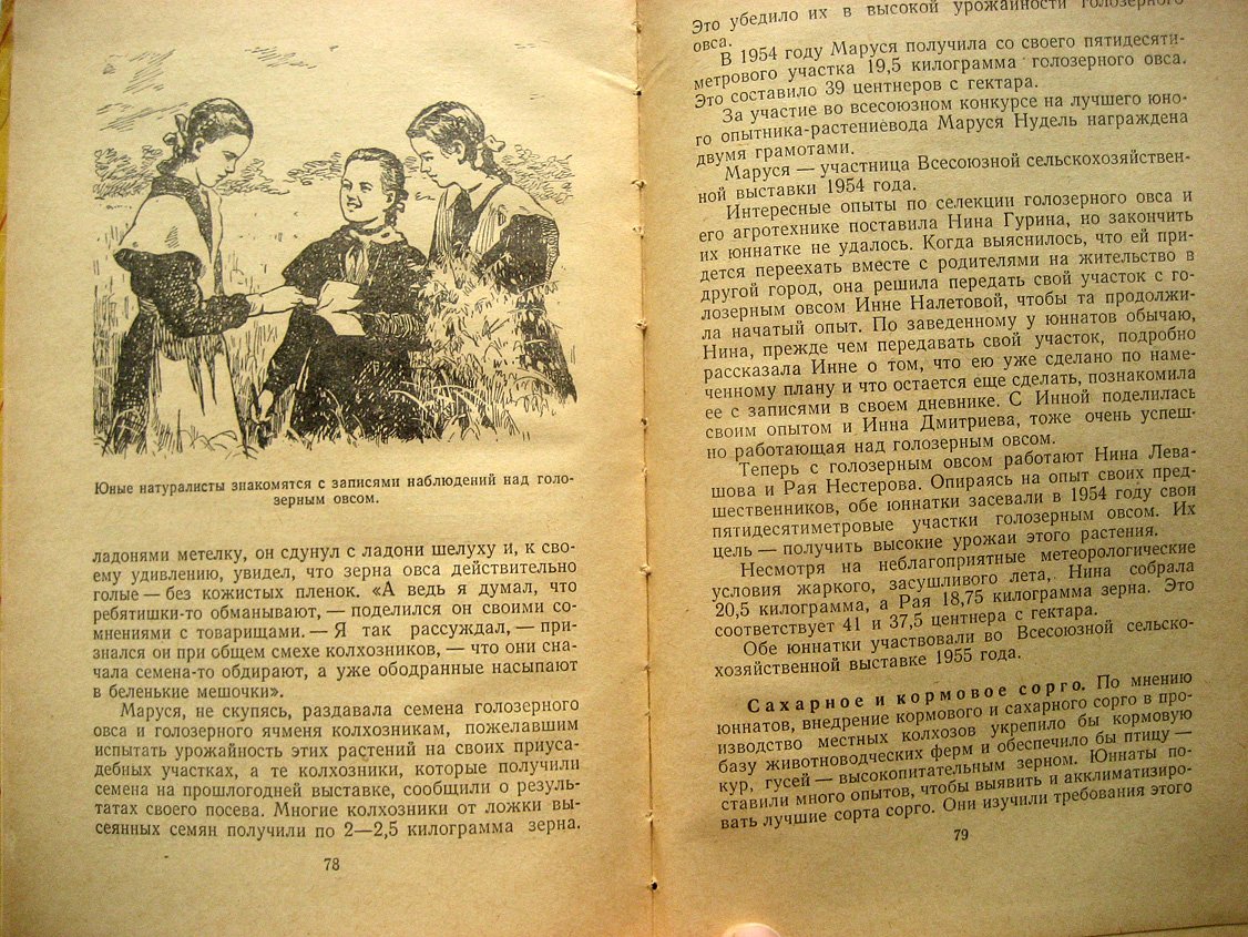 Гусельникова Е. Сердобские юные мичуринцы.