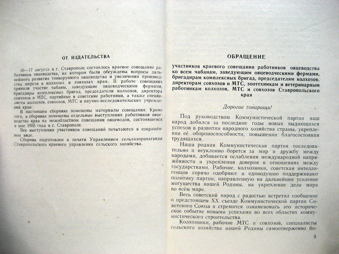 Больше тонкорунной шерсти.