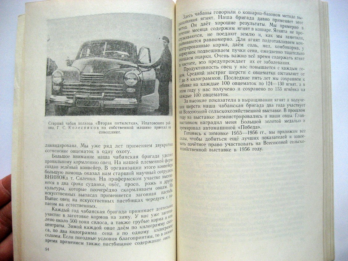 Больше тонкорунной шерсти.