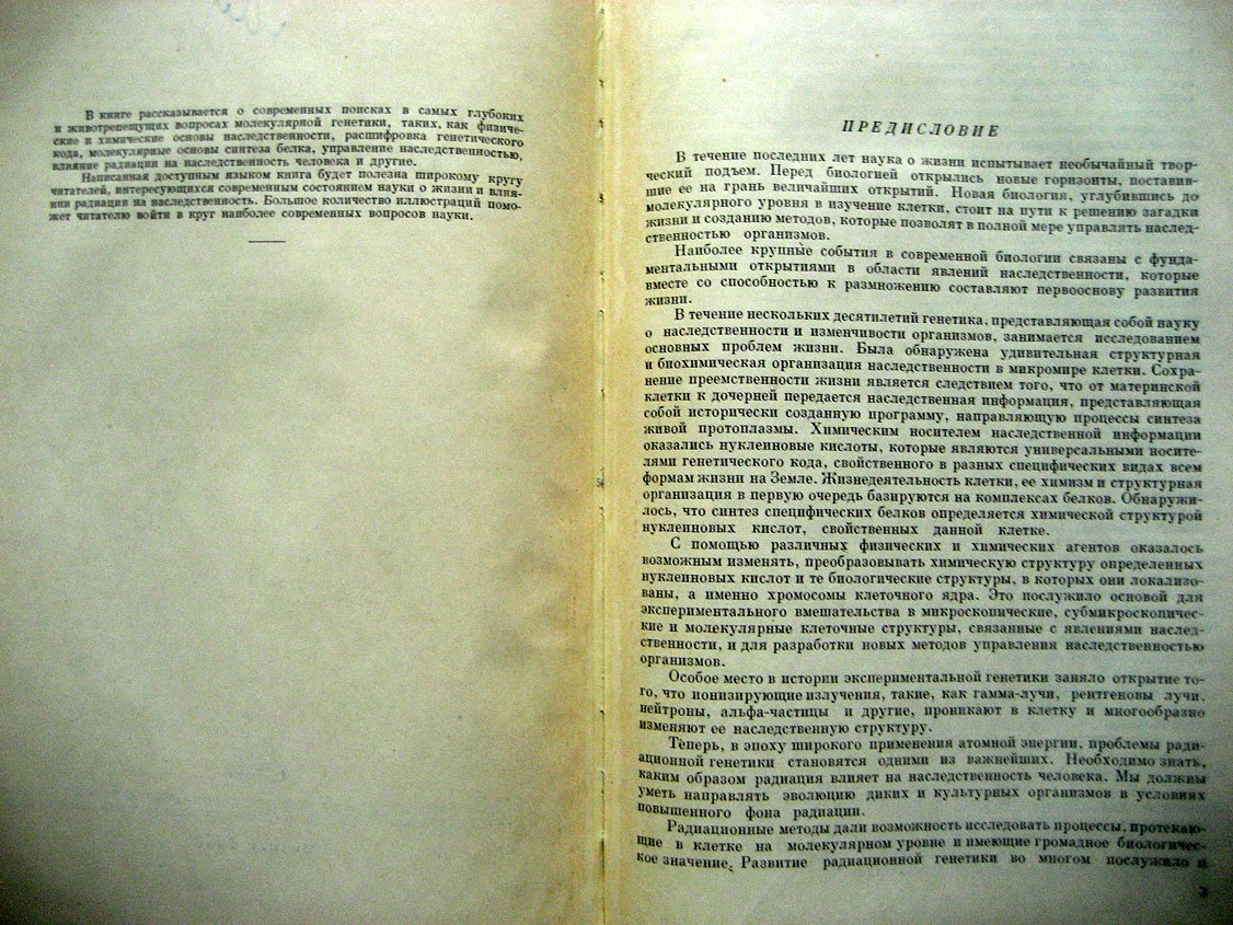 Дубинин Н. Молекулярная генетика и действие излучений на наследственность.