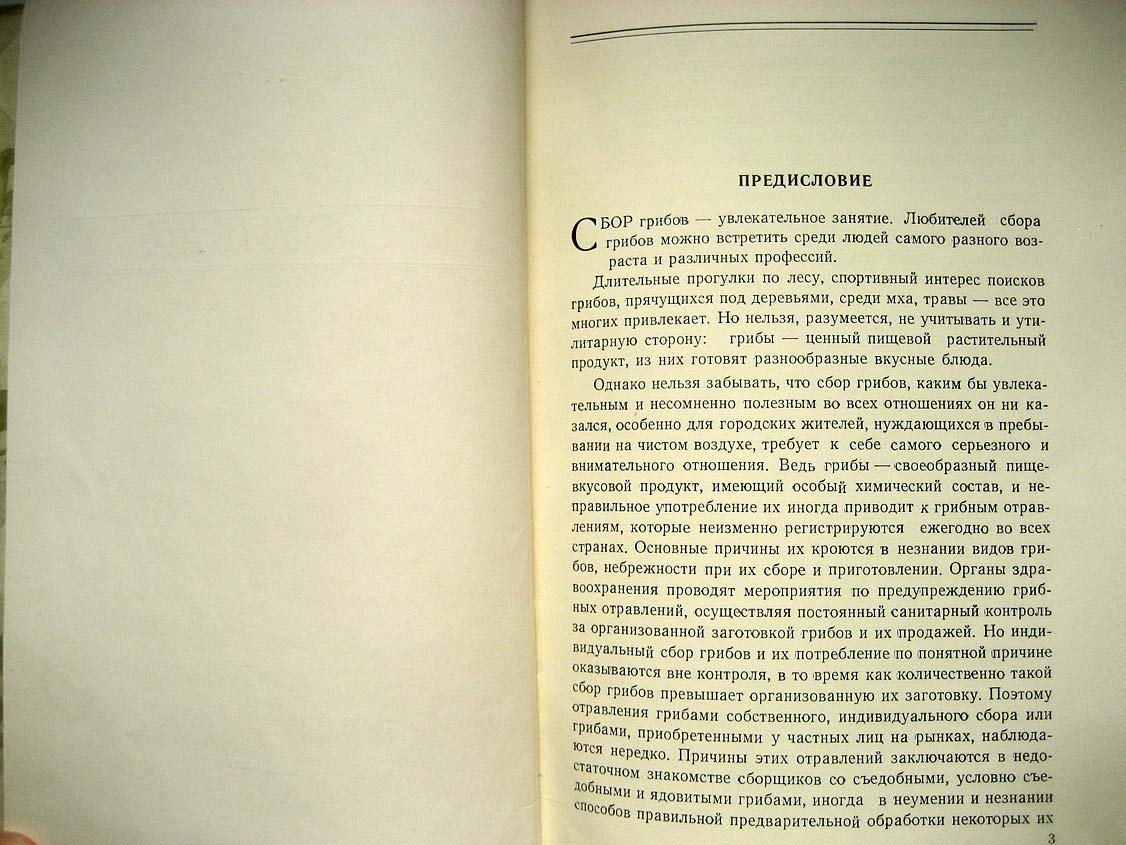 Орлов Н. О грибах.