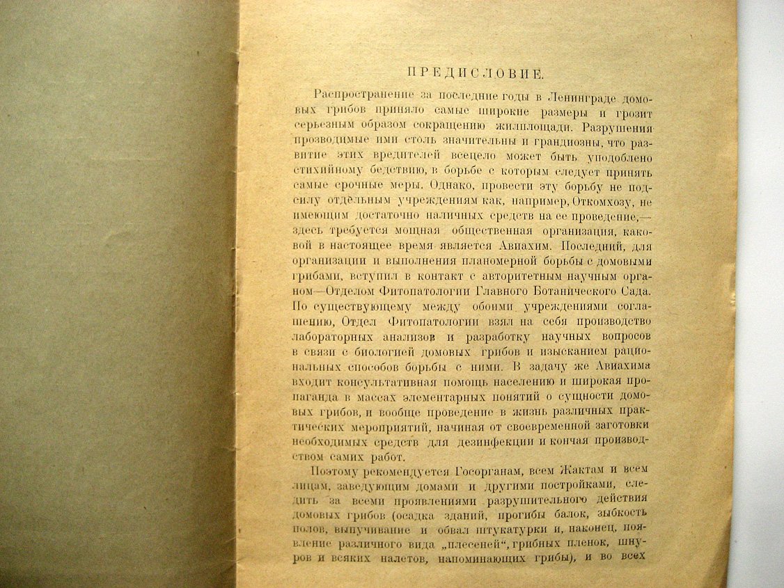 Бондарцев А. Домовые грибы - разрушители строений.