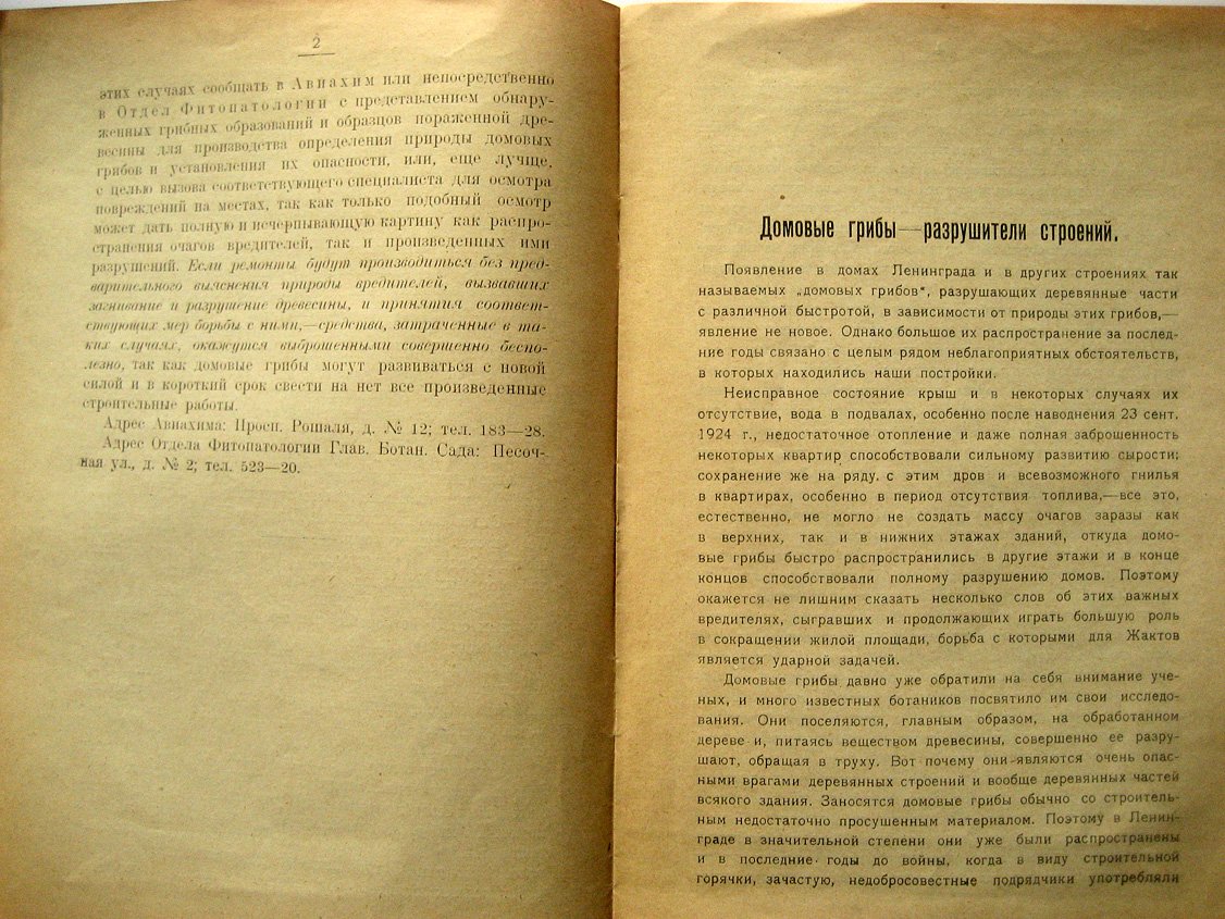 Бондарцев А. Домовые грибы - разрушители строений.