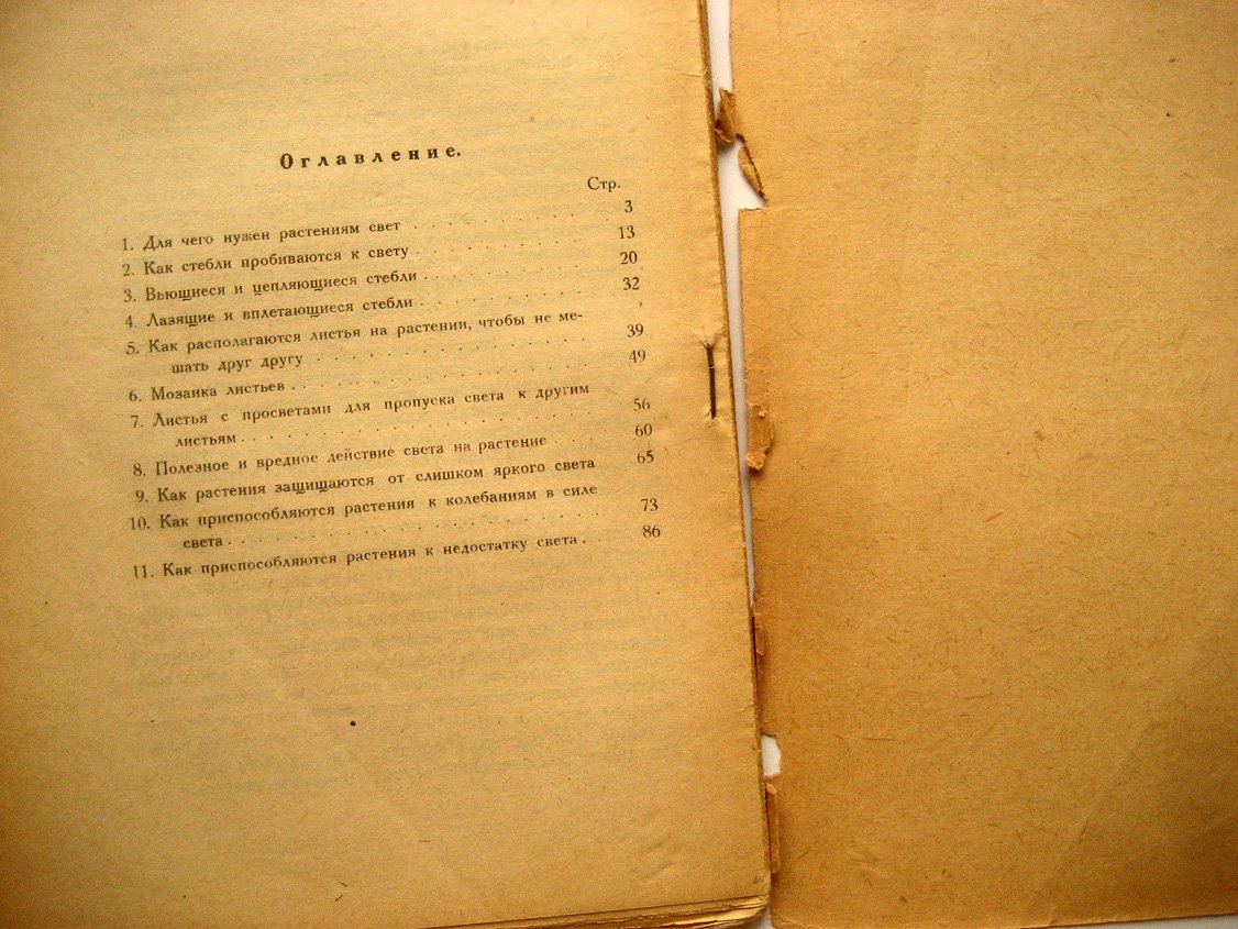 Порецкий С. Растение и свет. О том, как растение приспосабливается к силе света и как действует свет на растения