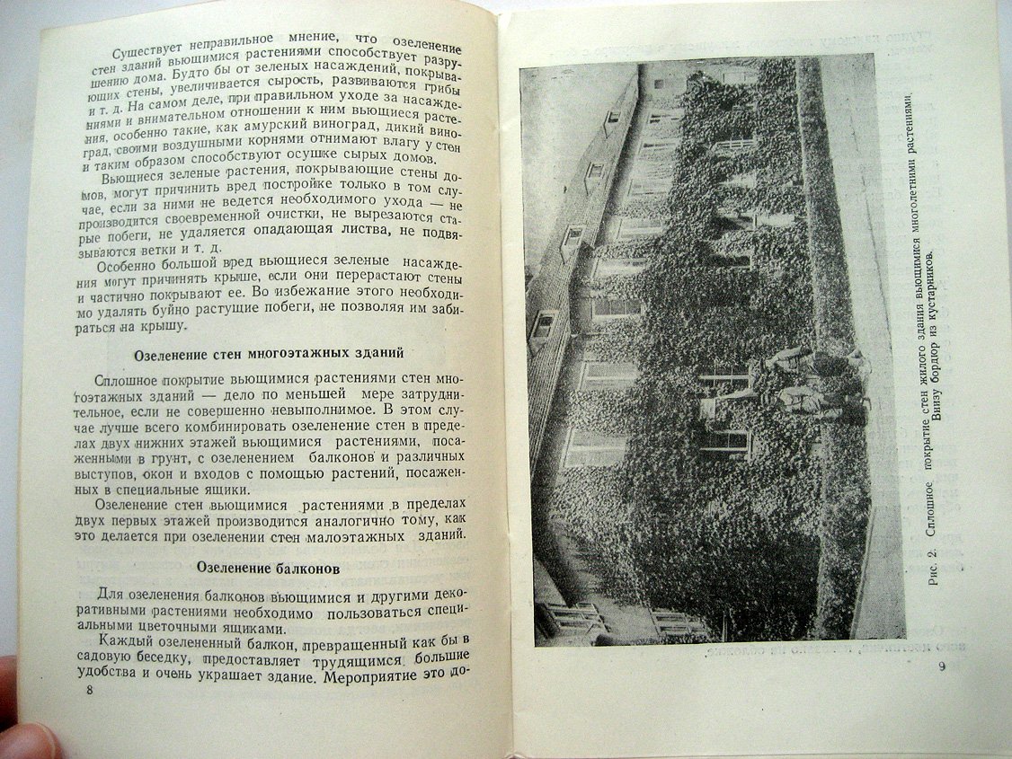 Пряхин В. Вертикальное озеленение.