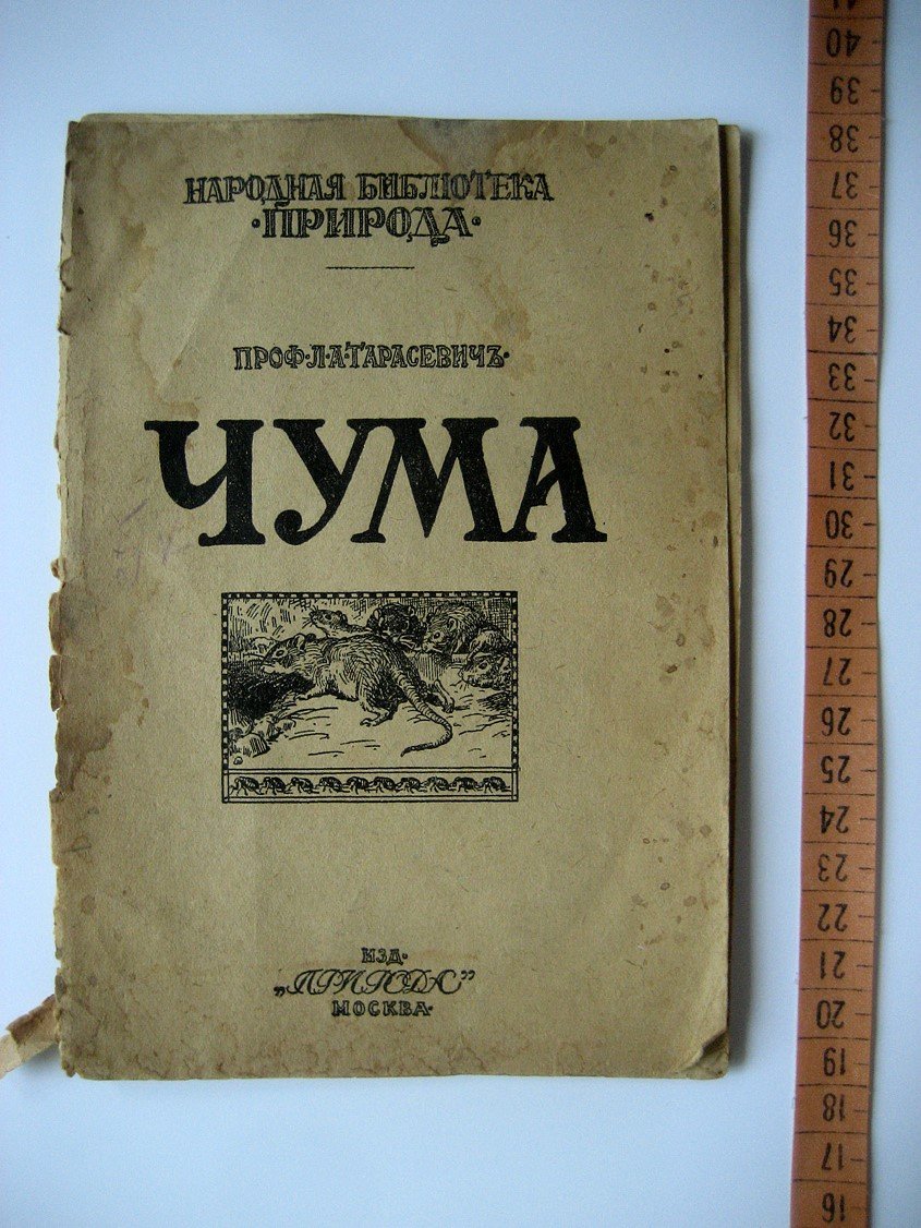 Тарасевич Л. Чума.