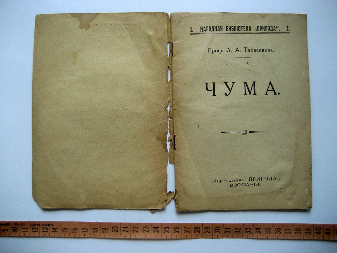 Тарасевич Л. Чума.
