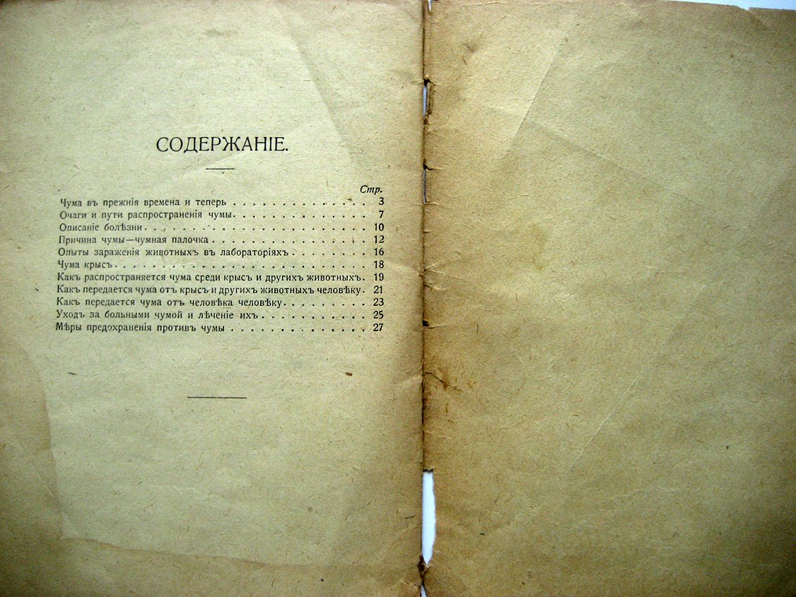 Тарасевич Л. Чума.