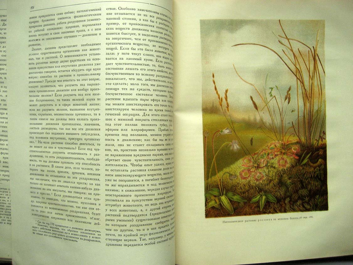 Тимирязев К.А. Жизнь растений.