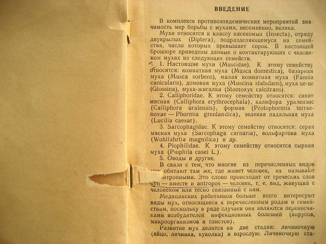 Вашков В. Мухи и борьба с ними.