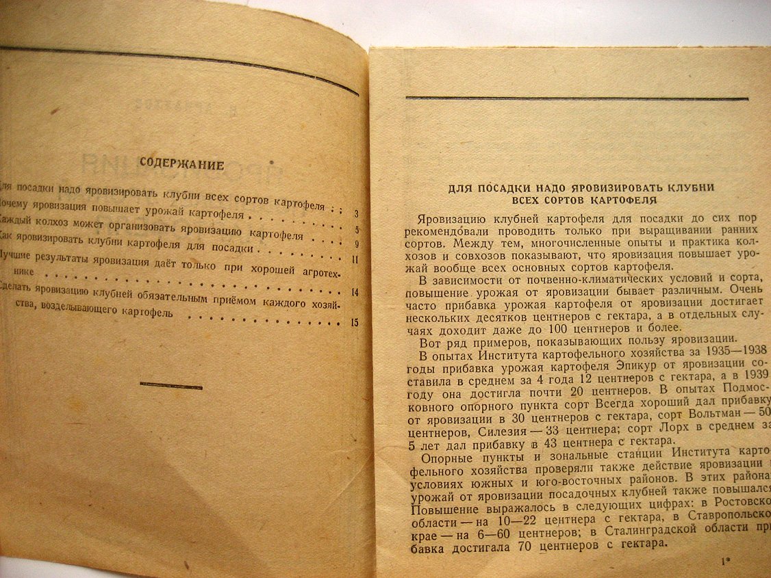 Арнаутов В. Яровизация повышает урожай картофеля.