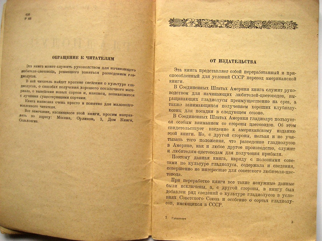 Рокуэлл Ф. Гладиолус.