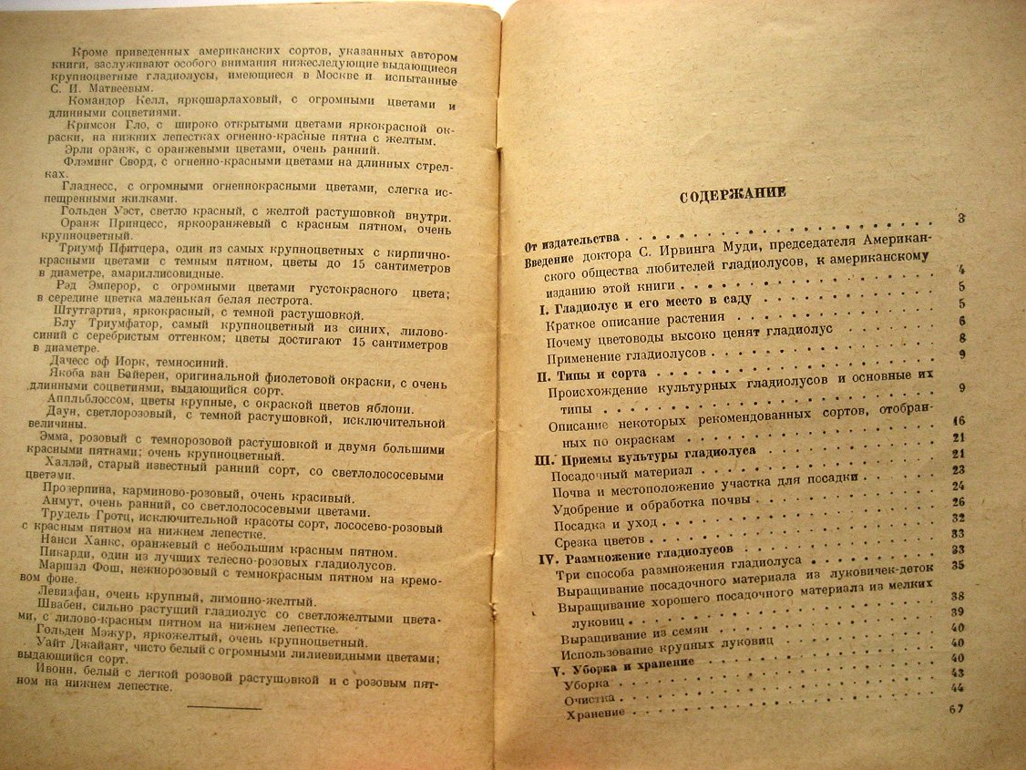 Рокуэлл Ф. Гладиолус.