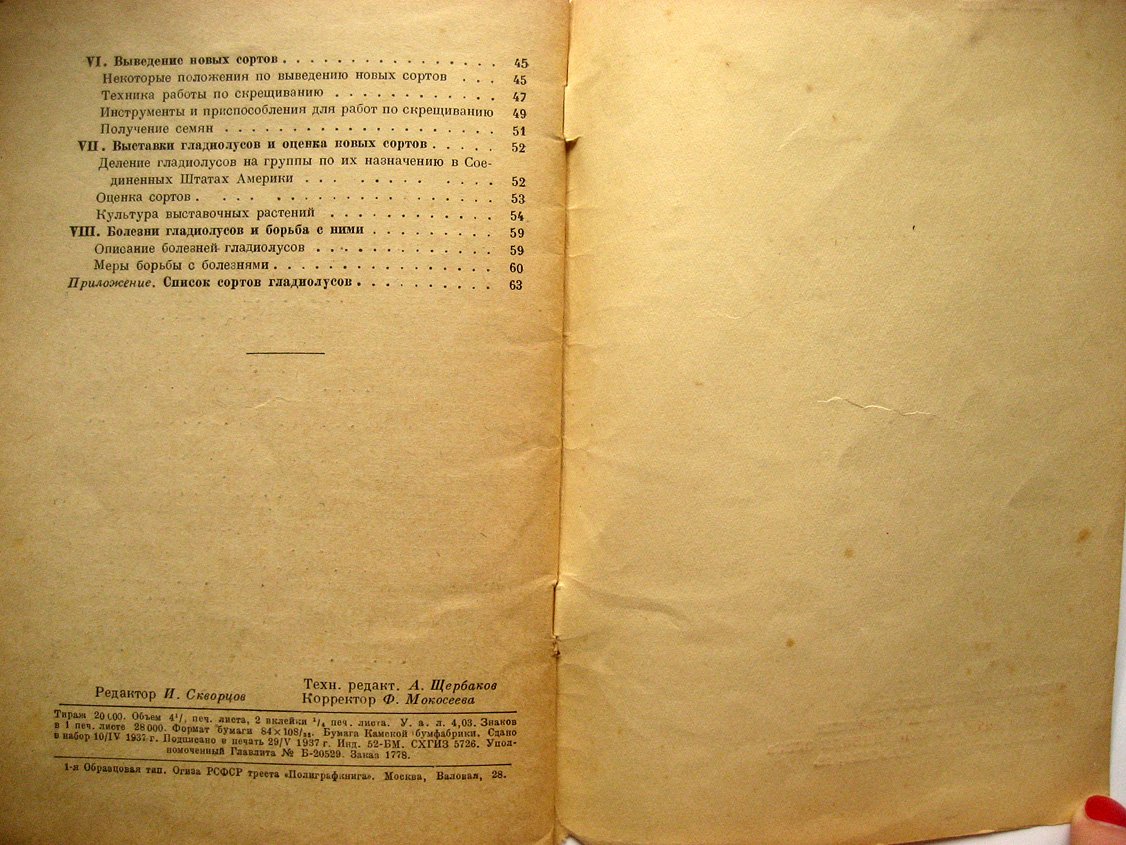 Рокуэлл Ф. Гладиолус.