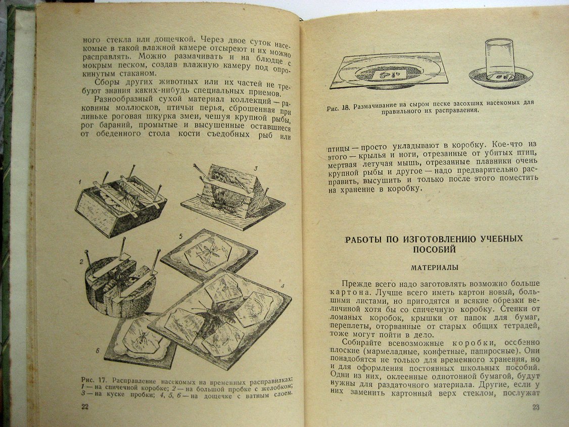 Павлович С. Самодельные пособия по ботанике и зоологии.