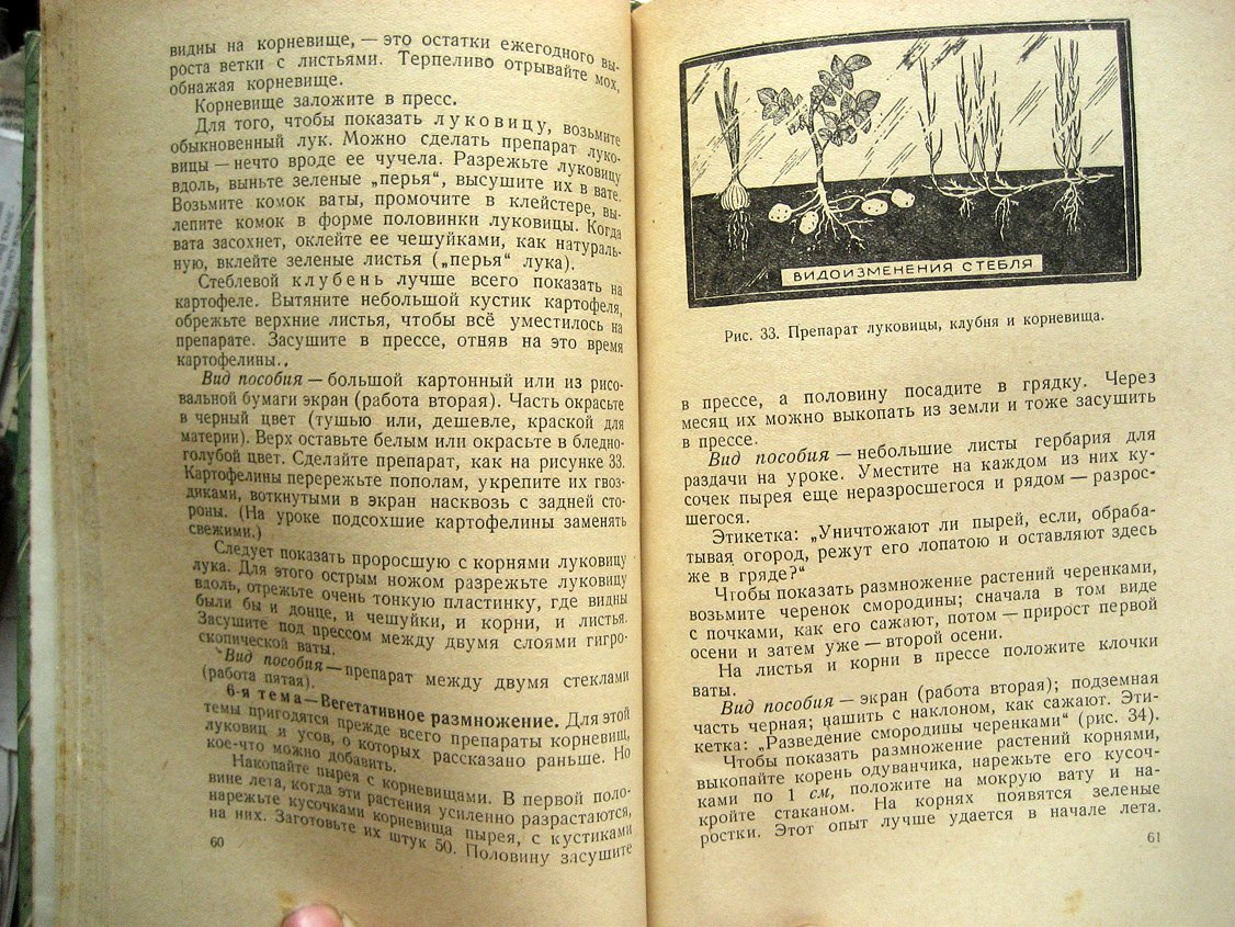 Павлович С. Самодельные пособия по ботанике и зоологии.