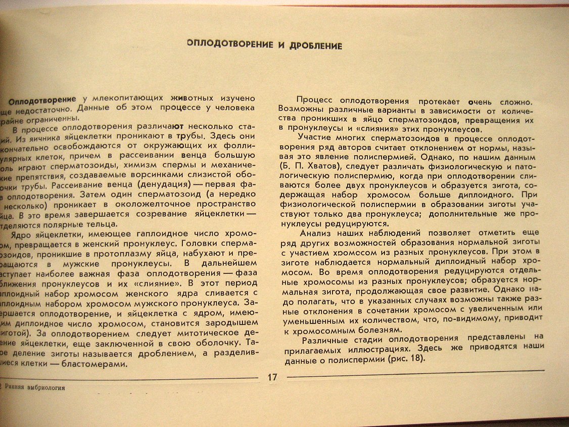 Хватов Б., Шаповалов Ю. Ранняя эмбриология. Альбом