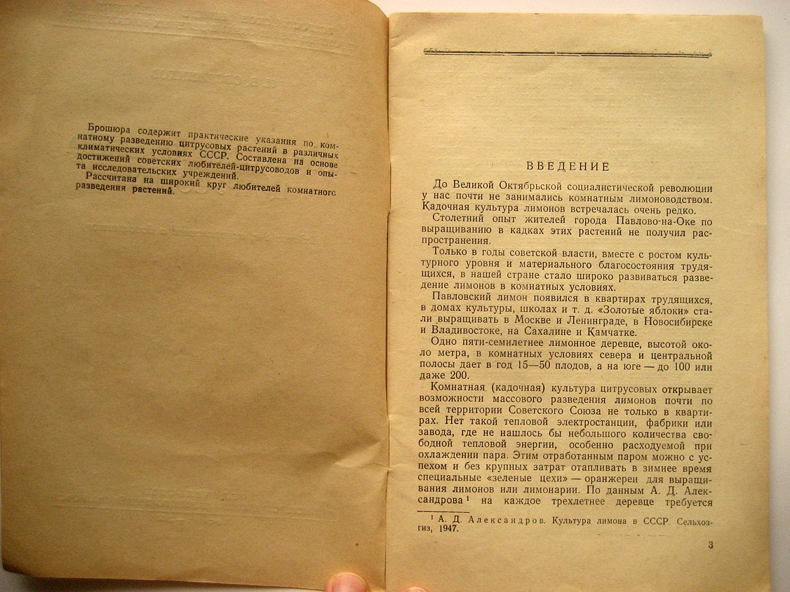 Овсянников И. Комнатная культура цитрусовых.