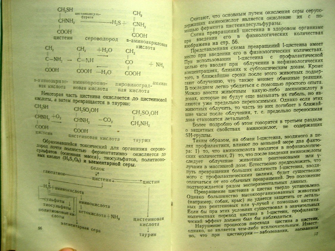 Романцев Е., Савич А. Химическая защита от действия ионизирующей радиации.